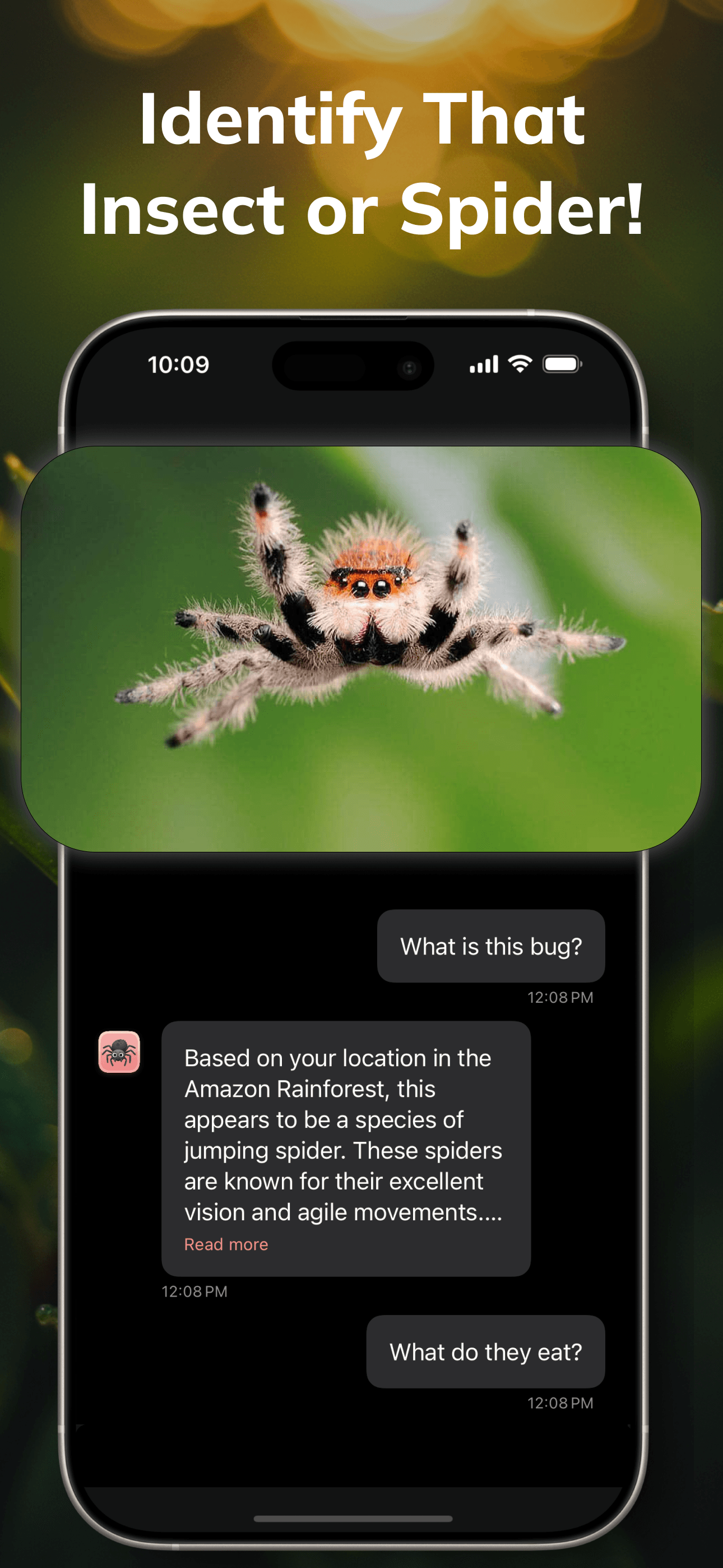 Analyzing insect photo