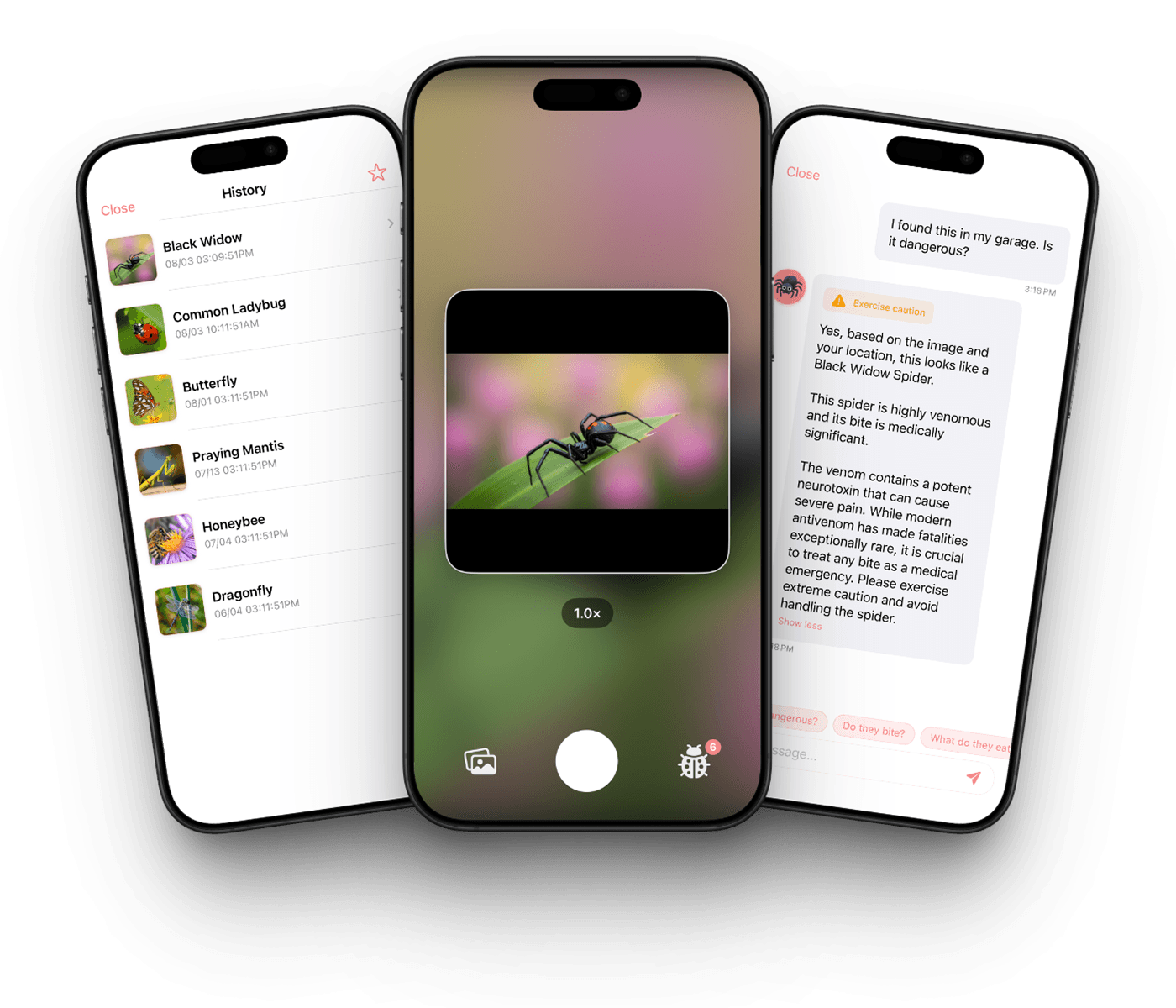 Bug Identifier app interface showing insect identification
