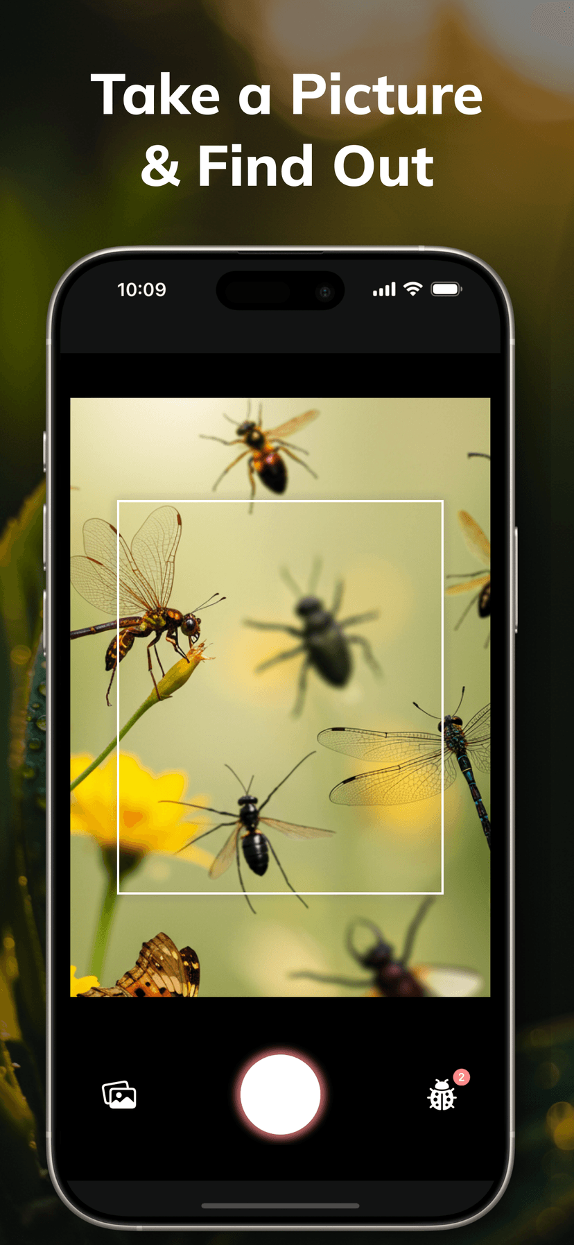 Digital Insects Butterfly & Moth Identification App | Bug Identifier